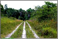 Plonsen - nr. 0185